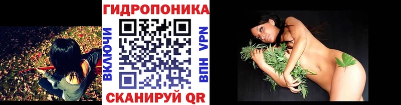 МАРИХУАНА сатива  ссылка на мегу онион  Плёс  где купить наркоту 